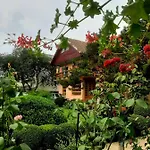 Pensiune 别墅