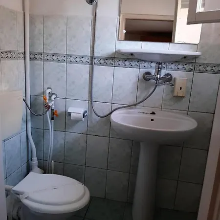 Guest house Pensiunea Sapte Pini
