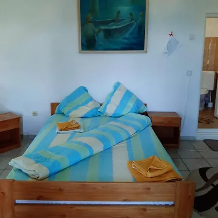 Guest house Pensiunea Sapte Pini 3*