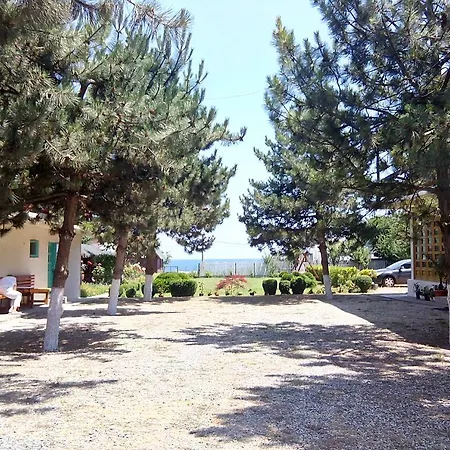 Guest house Pensiunea Sapte Pini 3*