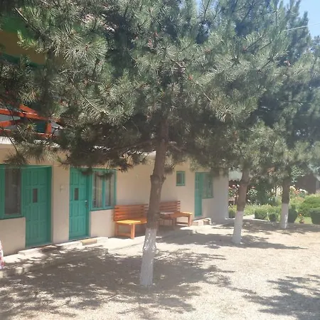 Pensiunea Sapte Pini 3*