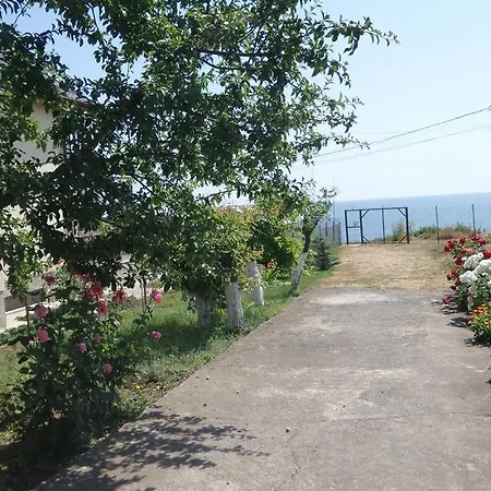 Guest house Pensiunea Sapte Pini 3*