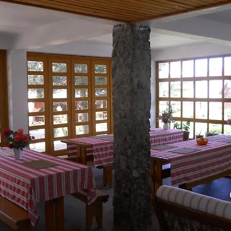 Pensiunea Sapte Pini 3*