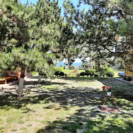 Pensiunea Sapte Pini Guest house