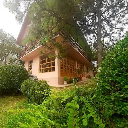 Pensjonat Pensiunea Sapte Pini Două Mai