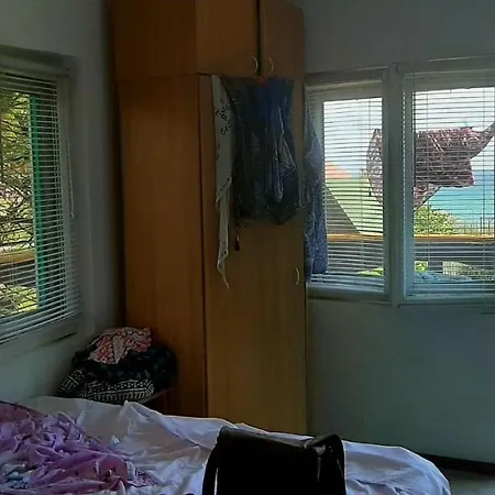 Pensiunea Sapte Pini Guest house