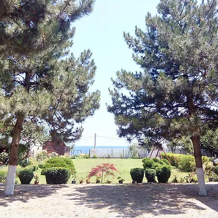 Pensiunea Sapte Pini Guest house 2 Mai